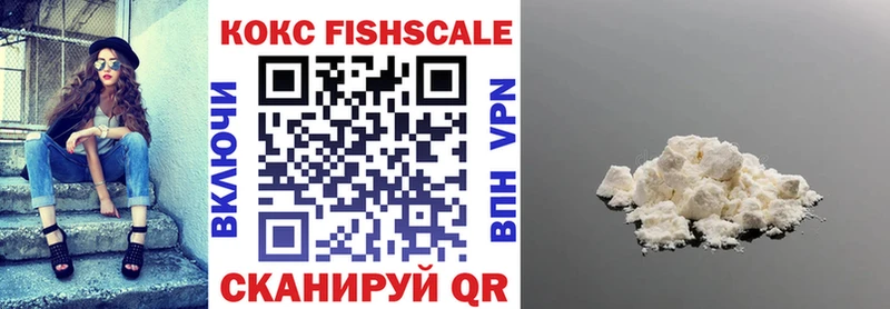 Cocaine FishScale  Купить закладки  Мариинск 