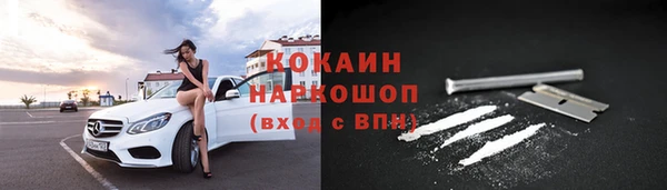 соль ск Дмитров