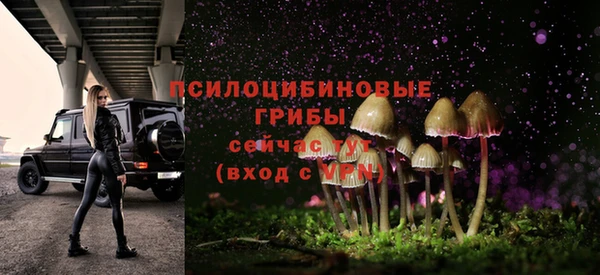 спайс Дмитриев