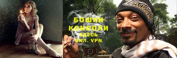 спайс Дмитриев