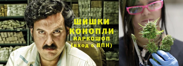 спайс Дмитриев