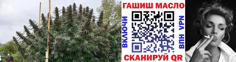 Дистиллят ТГК THC oil  Купить закладки  Мариинск 